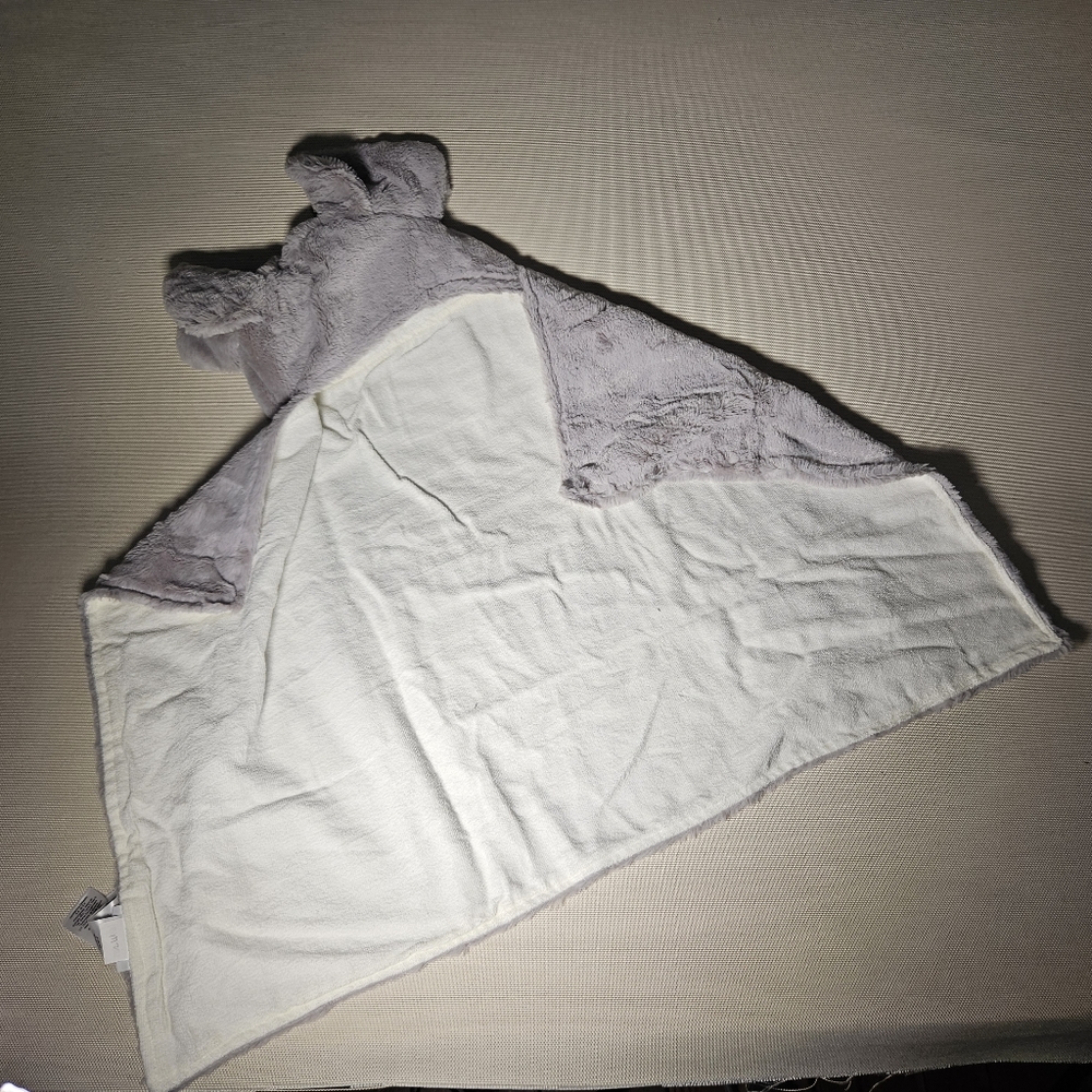 Pottery Barn Hooded Towel